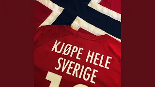 KJØPE HELE SVERIGE