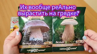 12.02.2024 СЕМЕНА на 2024г!☘️Обзор семян с агроф.Садовый мир!🍄Их реально вырастить в грядке?🤔