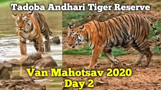 Tadoba Andhari Tiger Reserve | Van Mahotsav | 01 July To 07 July 2020 | Day 2 | Episode 28