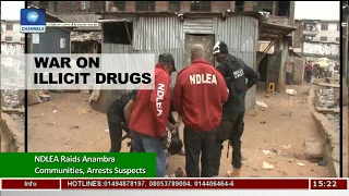 NDLEA Raids Anambra Communities For Hard Drugs, Arrests Suspects |News Across Nigeria|