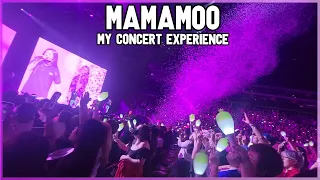 I saw MAMAMOO! | My Concert Experience