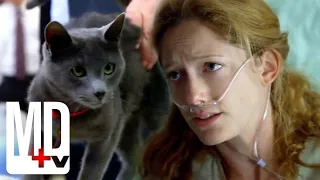 Can This Cat Predict When People Will Die? | House M.D. | MD TV