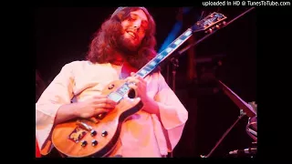 Steve Hillage ► Solar Musick Suite Live at The Rainbow Theatre 1977 [HQ Audio]