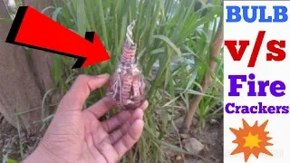 BULB V/S FIRECRACKERS||diwali cracker experiment/BIJLI bomb experiments/AK crazy experiments