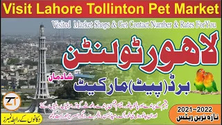 Tollinton Pet (Birds) Market Lahore|Lahore Famous Bird(Pet) Market|Visited Tollinton Market Lahore