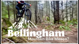 The Best Mountain Bike Town in America? (bellingham)
