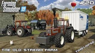 Selling EGGS, WOOL, MILK, and STRAW BALES | The Old Stream Farm | Farming Simulator 22 | Episode 20
