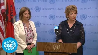 Norway and Ireland on the resolution on cross-border aid to Syria - Security Council Media Stakeout