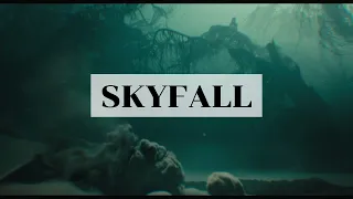 [Vietsub Lyrics] Adele - Skyfall (From Điệp Viên 007: Tử Địa Skyfall)