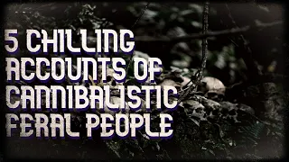 5 chilling accounts of the feral people of the Great Smoky mountains