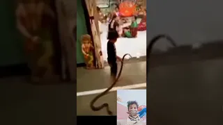 Omg😱 This child playing with snake 🐍 #youtubeshorts #shortsvideo #short #shorts