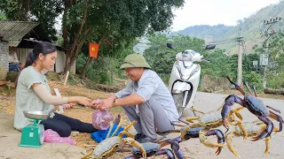 The sadness of a pregnant mother living alone in the forest catching crabs to sell at the market