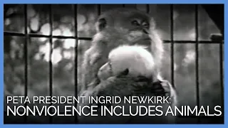 Nonviolence Includes Animals