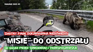 Niedźwiedzie na Transfogaraskiej do odstrzału | Transfagarasan DN7C | Rumunia motocyklem odc. 2/4