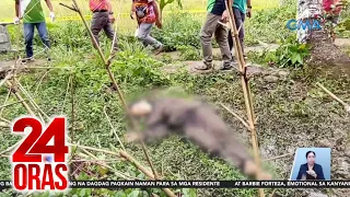 Abogado, kabilang sa 5 nasawi sa umano'y engkwentro sa Bilar, Bohol; gustong... | 24 Oras