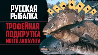 Новый Путь в РР4 #6 🔴 Трофейная Рыбалка | Фарм на Карпе и Амуре | Сборка для Хищника на р.Белой