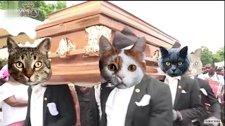 Funny Cat and Dog with Dancing Funeral Coffin Meme - 🐶 Dogs and 😻 Cats Version #21