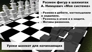 Размен фигур в шахматах.  А  Нимцович "Моя Система"/ Уроки шахмат для начинающих.