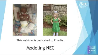 Modeling NEC Webinar Recording