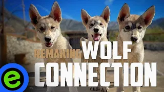 Remaking Wolf Connection Part 2