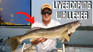 Sharpshooting Walleyes - Garmin Livescope + Jiggin Rap (Livescoping Walleyes)