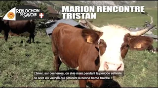 A la rencontre de Tristan, Producteur de Reblochon fermier / REBLOCHON #Passion