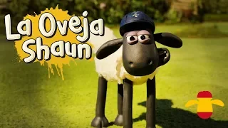 Observadores de la vida salvaje - La Oveja Shaun [Wildlife Watch]