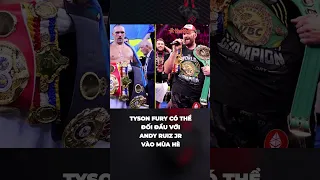 Tyson Fury có thể đối đầu với Andy Ruiz Jr vào mùa hè