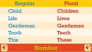 Singular - Plural : 215+ Important Words | Number | Vocabulary | Nouns | Pronouns | English Grammar