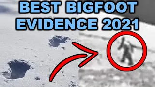 Two Men Capture Bigfoot Evidence In Snowy Mountains | Best Bigfoot Evidence to Date