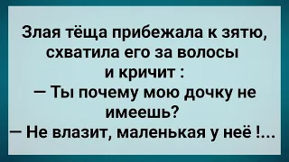 Злая Теща Схватила Зятя за Волосы! Сборник Свежих Анекдотов! Юмор!