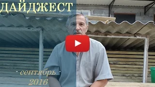 Дайджест (сентябрь 2016)