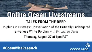 Dr. Lauren Dares: Dolphins in Distress - Conservation of the Taiwanese White Dolphin