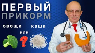 Первый прикорм ребенка в 4, 5, 6 месяцев - каша или овощное пюре? Таблица, схема введения прикорма