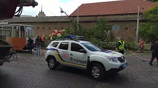 Львів. Впало дерево на площі Митній. Личаківську заблоковано