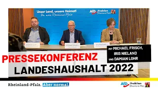 Michael Frisch (AfD): Mehr Geld für die Familie!