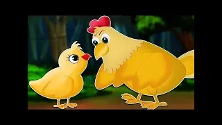 Priča o mudrom piliću - Najljepše priče za djecu - Animacija