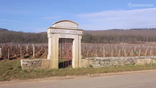 Côte de Nuits : les appellations décryptées par Jean-Pierre Renard