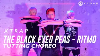 Tutting choreography タットダンス振り付け｜The Black Eyed Peas, J Balvin - RITMO (Bad Boys For Life)  by XTRAP