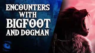 DOGMAN ENCOUNTERS AND BIGFOOT ENCOUNTERS COMPILATION - What Lurks Above