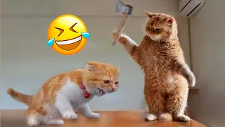 Funniest Animals 😄 New Funny Cats and Dogs Videos 😹🐶 2024 Part 5
