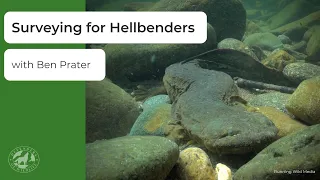 Surveying for Hellbenders