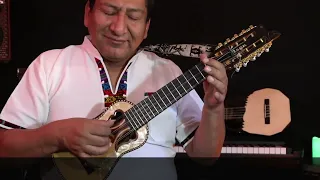 Charango online Lesson#2