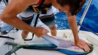 FILLETING BASICS | Catch and Cook | Mahi Mahi, Tuna, Walu, Wahoo