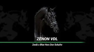 Zenon VDL (Zonik x Don Schufro) met Julia Watzek 2022