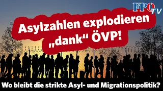 Asylzahlen explodieren „dank“ ÖVP: Wo bleibt die strikte Asyl- und Migrationspolitik?