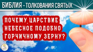 Почему ЦАРСТВИЕ НЕБЕСНОЕ подобно горчичному зерну? Толкования святых.