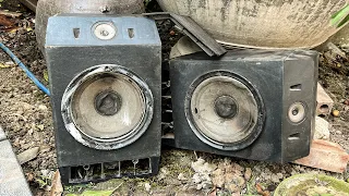 Restoration Severely Damaged Bose 301 Seri 4 Speakers // Amazing Restoration Project