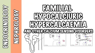 Familial Hypocalciuric Hypercalcemia + other calcium sensing disorders  - pathophysiology, treatment