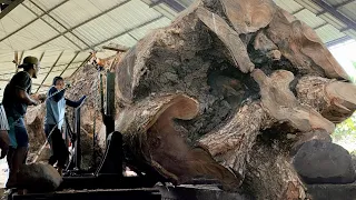 Too dangerous | Disawmill's 3 billion worth of monstrous monster wood